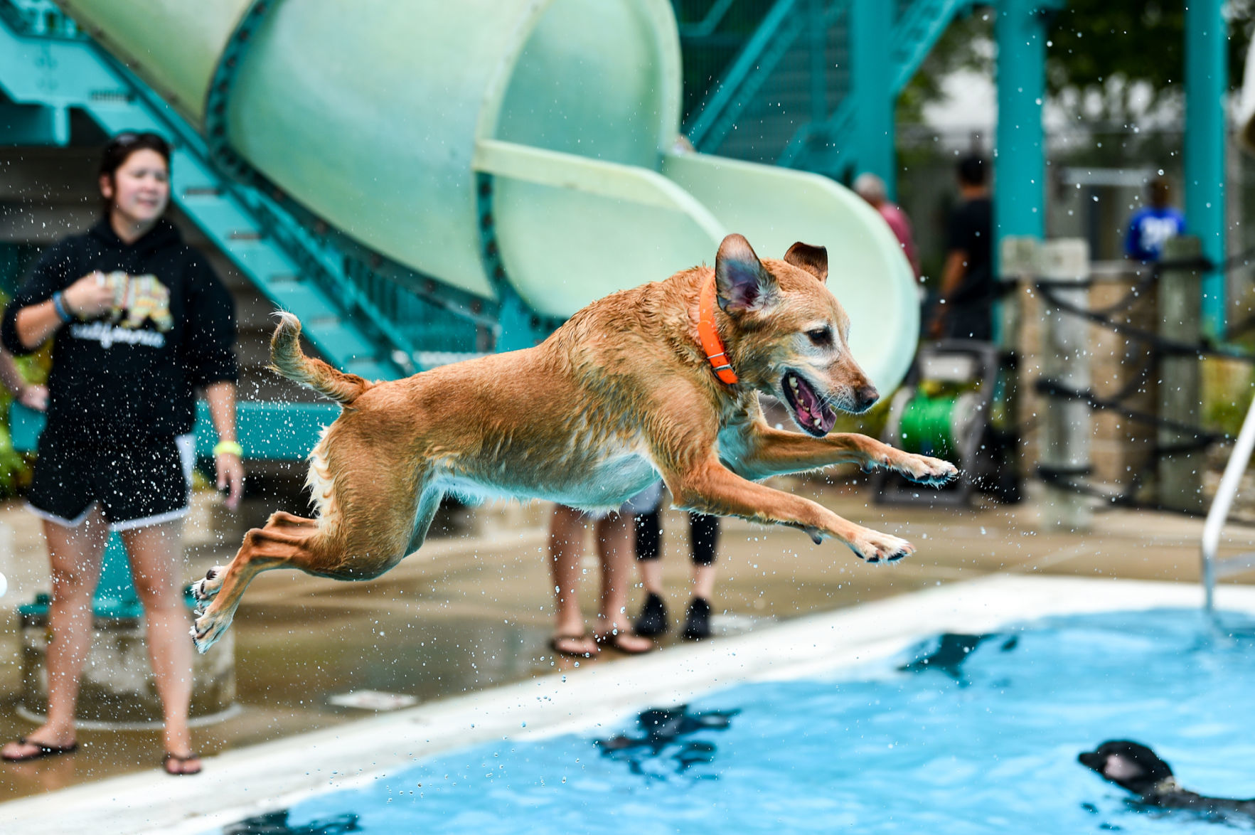 082919-bet-doggysplash-139a.JPG